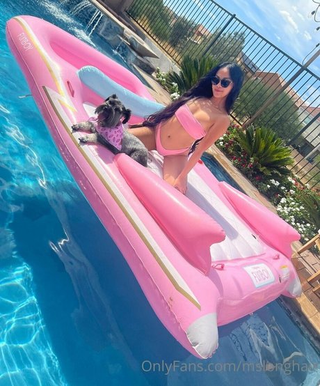 mslonghair ポルノモデル ギャラリー