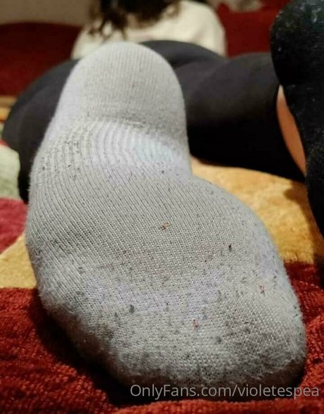 violetespea 完璧なスター 画像