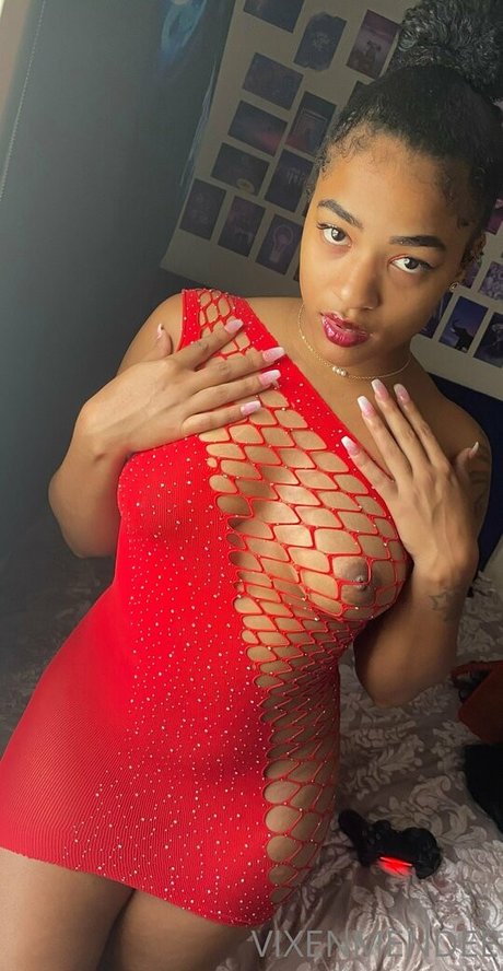 vixenmendee 完璧な女優 写真