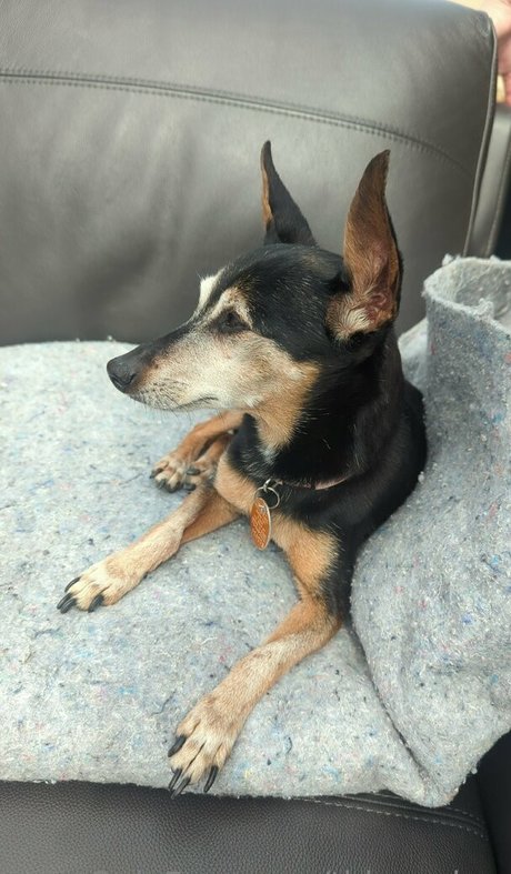 thisgoober エロティックなスター 写真