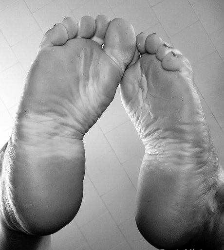 the footress スターセックス 画像