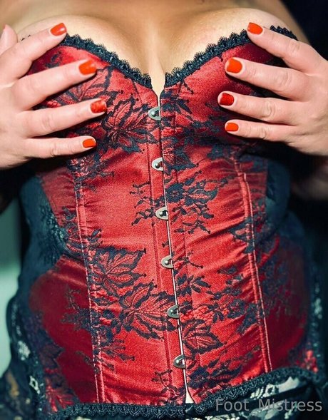 the footress HDモデル 写真