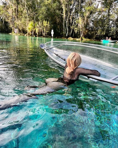 Anna Contortionist 完璧なスター アーカイブ