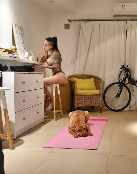 Lapecosafitness ポルノスター 高品質 写真