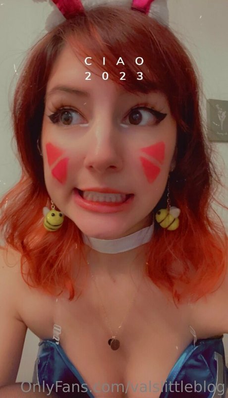 valvestia 高品質モデル 写真