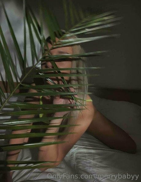 ニューハーフオンリーファン ポルノ 写真