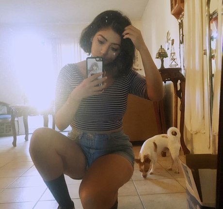 Sadd Pup 完璧なスター 画像