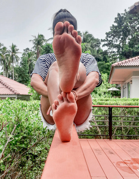 petitekate9 無料のスター 画像