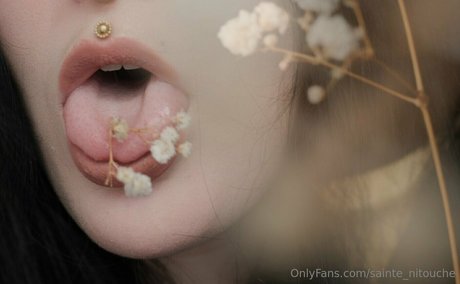 sainte nitouche 完璧なポルノスター 画像