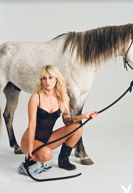 エクストリームオンリーファン えろ ギャラリー