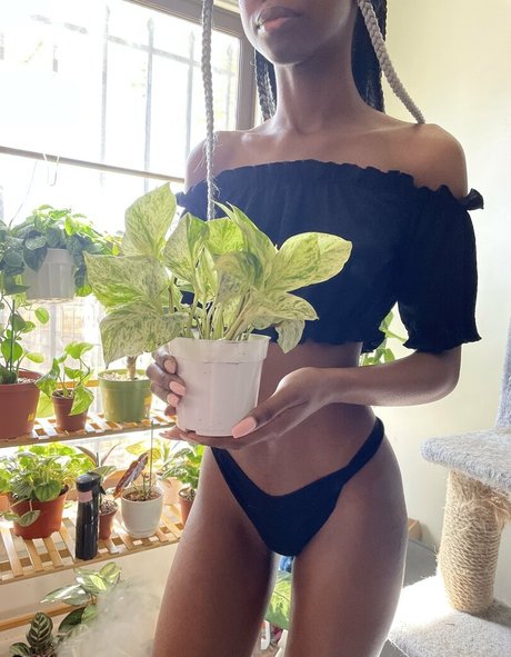 濃厚なヌードオンリーファンズ 無料ヌード 写真