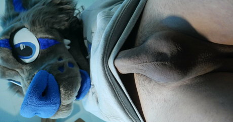 弁護士オンリーファンズ 無料ポルノ 画像