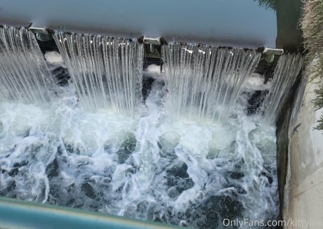 kittylee ポルノスター パーフェクト 写真