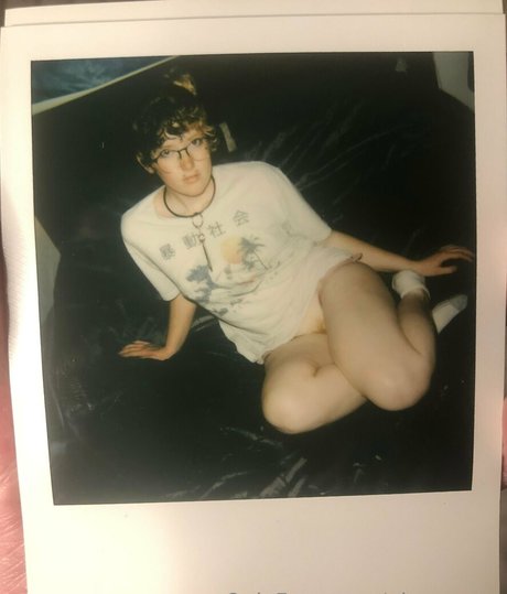 ginger pup 限定スター 写真