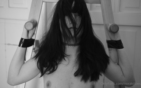 norakitties HDモデル 写真