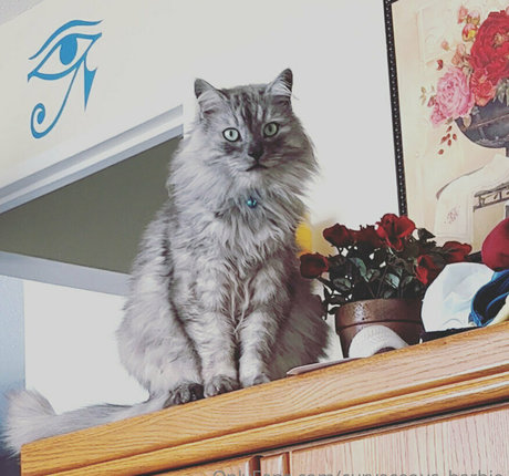 オイルを塗った巨乳オンリーファンズ アートヌード 写真