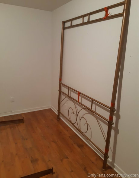 avrilvixxxen HDスター 写真