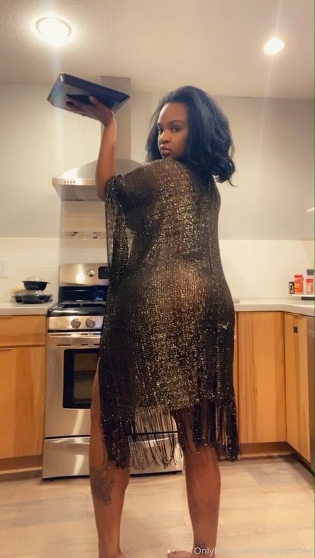 msdamnfree セクシー女優 アーカイブ