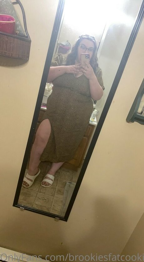 brookiesfatcookie HDモデル 写真