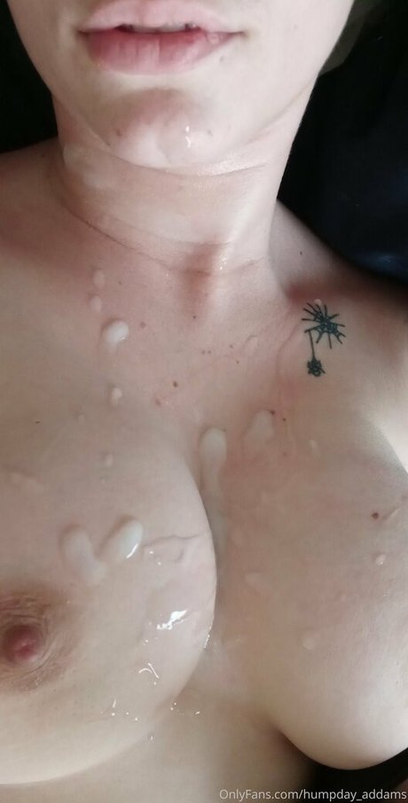 humpday addams 高品質モデル ギャラリー