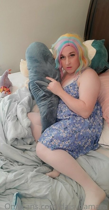 獣医オンリーファンズ 素敵 写真