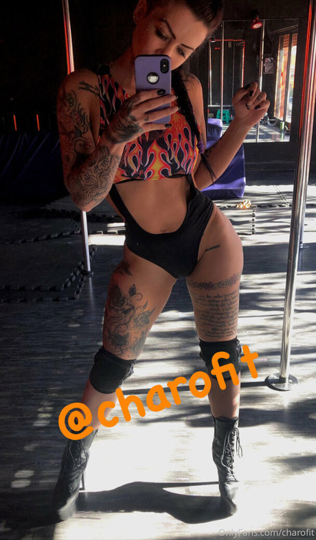 Charofit 独占スター 画像