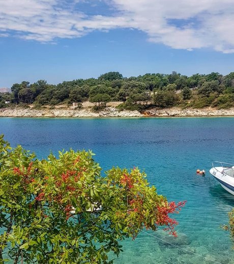 筋肉トランスオンリーファンズ ホット 写真