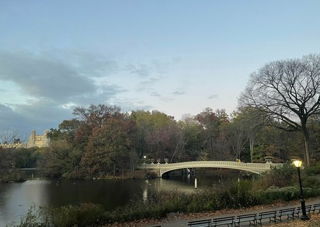 evieling アートモデル 写真