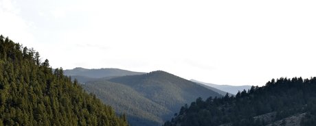 sexyredinbedfree HDモデル 画像