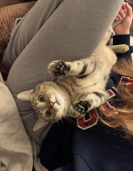 sexyredinbedfree 裸モデル 写真