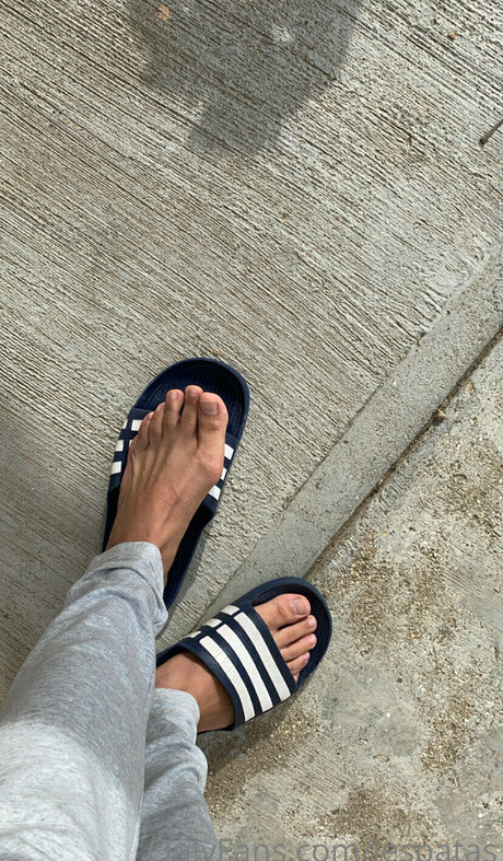 jespatas HDスター ギャラリー