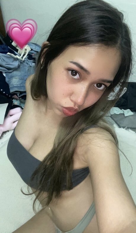 Cerisey アートスター アーカイブ