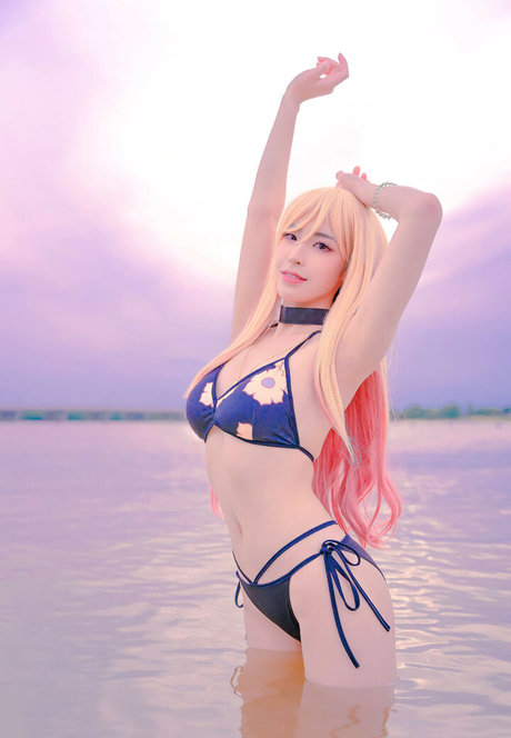 Luximity 無料のスター 写真