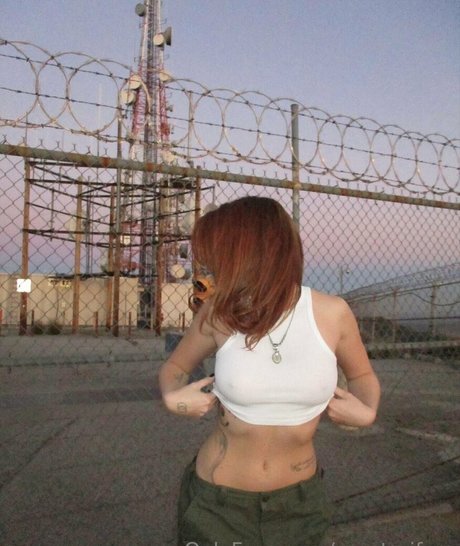 renatarifree ポルノスター 画像