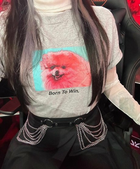 Yinsu Collins 高品質のスター 画像