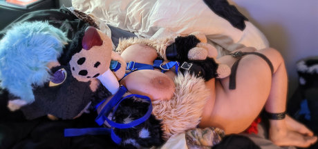 bigtittytusky スター 画像