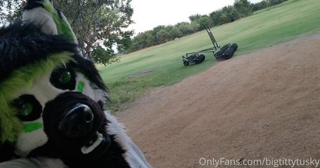 bigtittytusky HDポルノスター ギャラリー