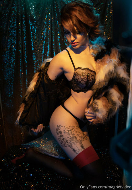 magnetvideo 完璧なポルノスター 画像