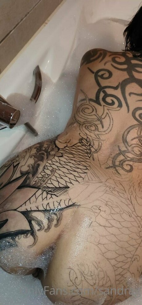 sandrag HDモデル 画像