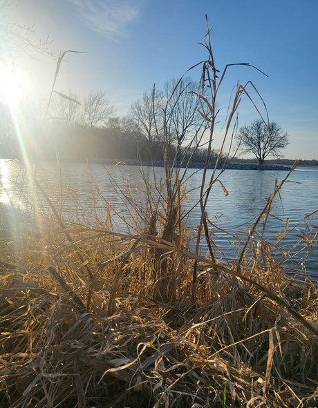 足の動画 オンリーファンズ 無料ヌード 写真