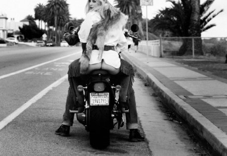 Scout Willis ポルノスター アート 画像