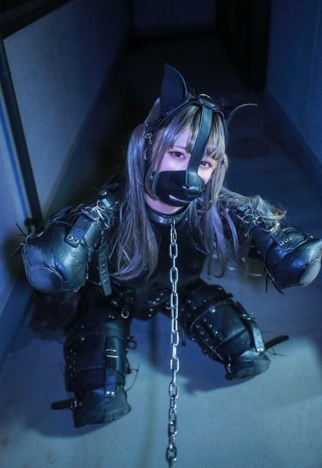 Dlemon かわいいスター 写真