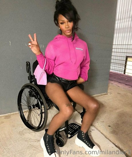 獣医オンリーファンズ エロチック 画像