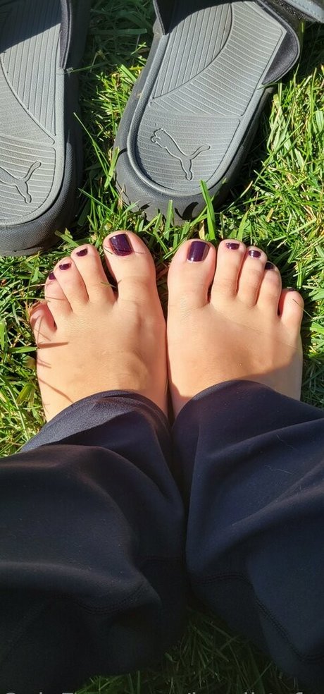 herdirtyfarmsocksfree 最高のスター 写真