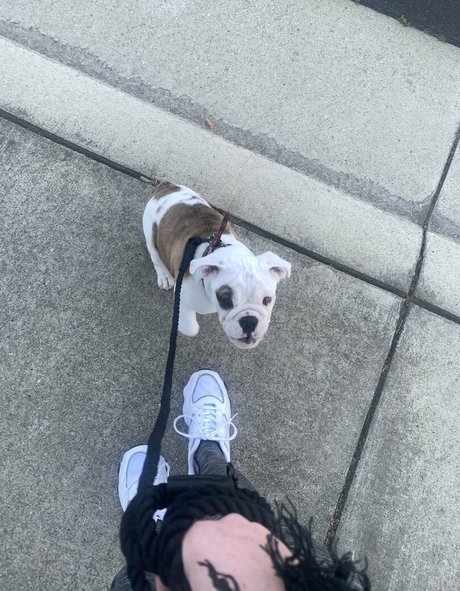 kaitimackenzie ポルノスター ギャラリー