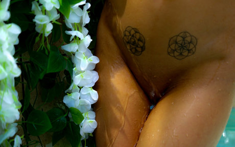 skyluxxe アートポルノスター ギャラリー