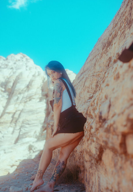 mscooky 美しいスター 写真