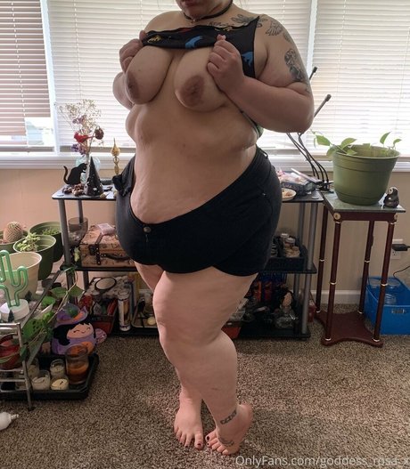 goddess rosa x 限定モデル 写真