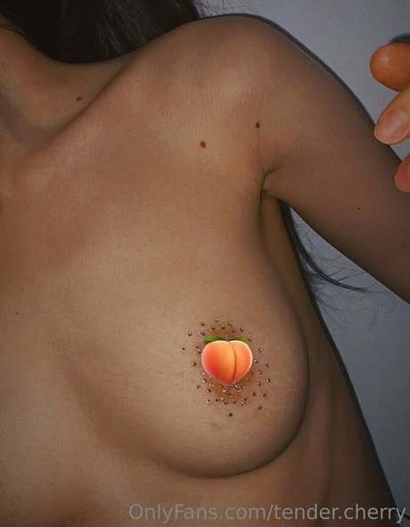 tender cherry セクシーモデル 画像