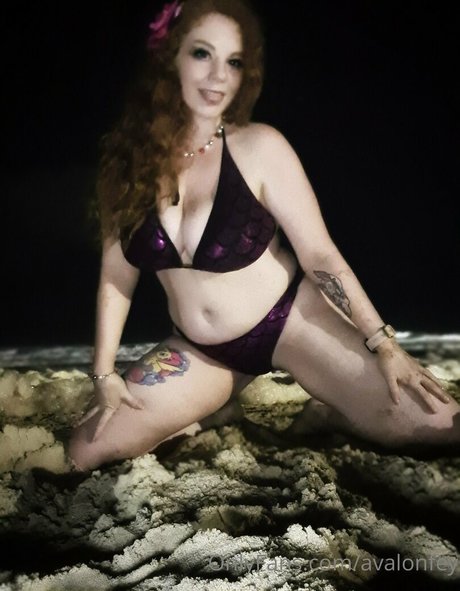 avalonfey 美しいスター ギャラリー